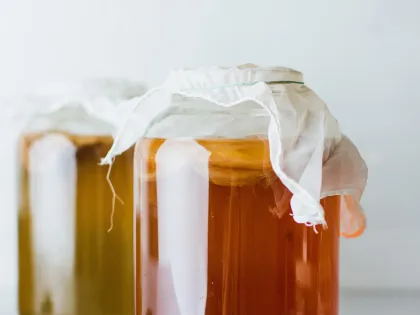 Should I drink kombucha?