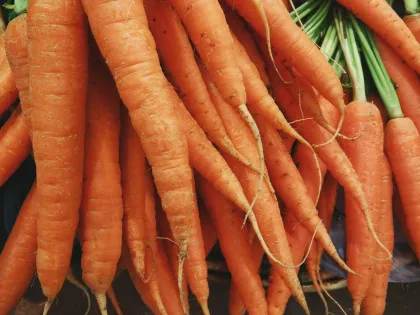 What are carotenoids?