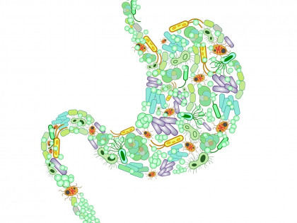 What is a microbiome?
