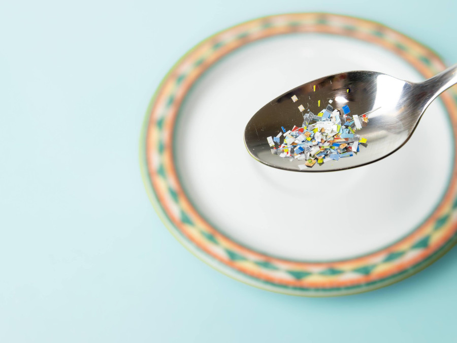 Plastic, diet and human health