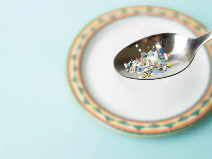 Plastic, diet and human health