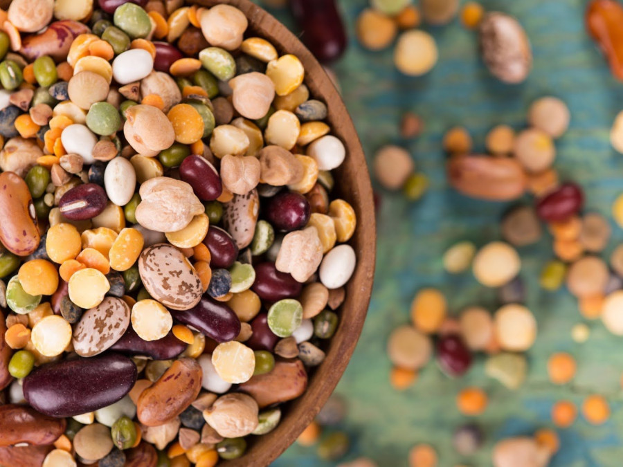What are legumes?