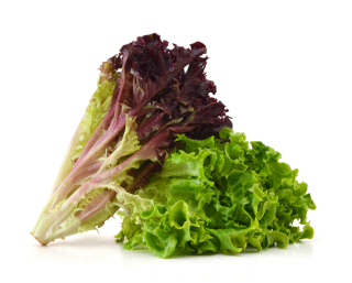 Everyday Superfoods